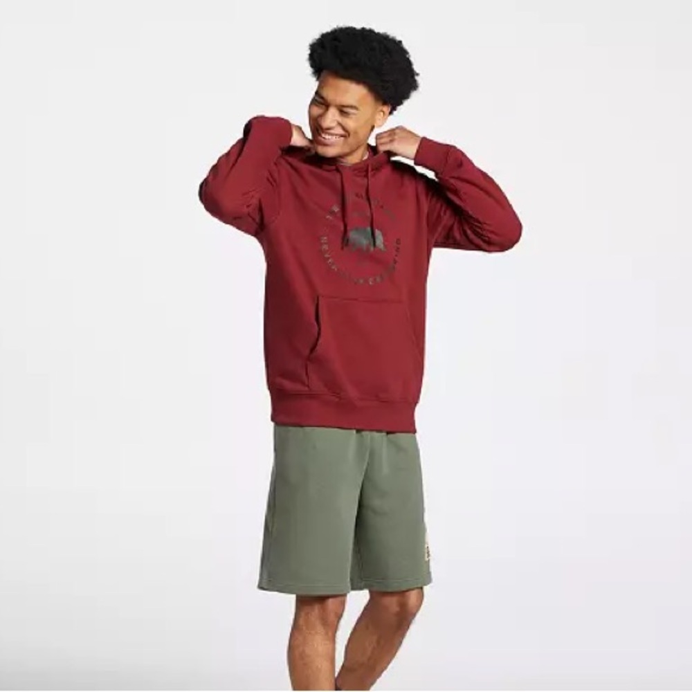 The North Face Cordovan Circle Front Bear Hoodie